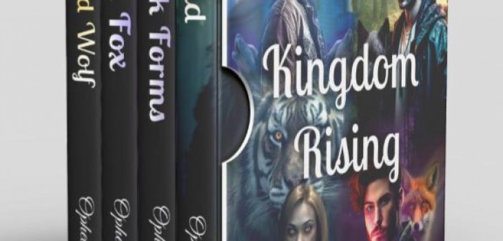 Kingdom Rising Update